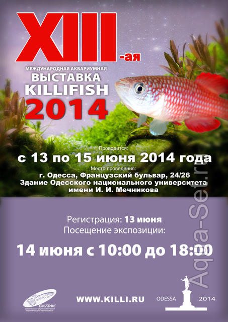 SKLIK - 13-15 июня 2014, Одесса, Украина.