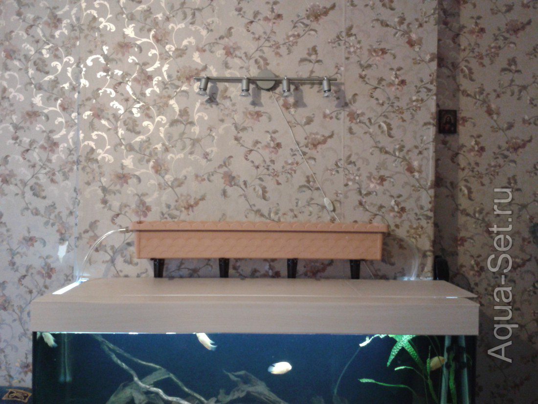 Гидропоника: Фитофильтр для аквариума своими руками.