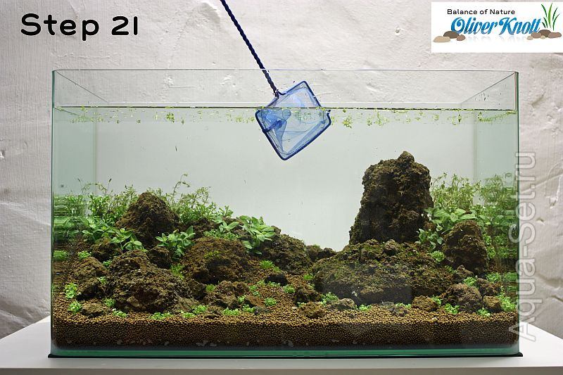 Пошаговый запуск и оформление аквариума от Oliver Knott - Когда все удалено, можно также удалить всплывшие при наполнении кусочки растений из аквариума.