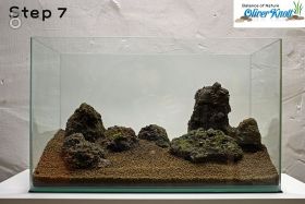 Пошаговый запуск и оформление аквариума от Oliver Knott