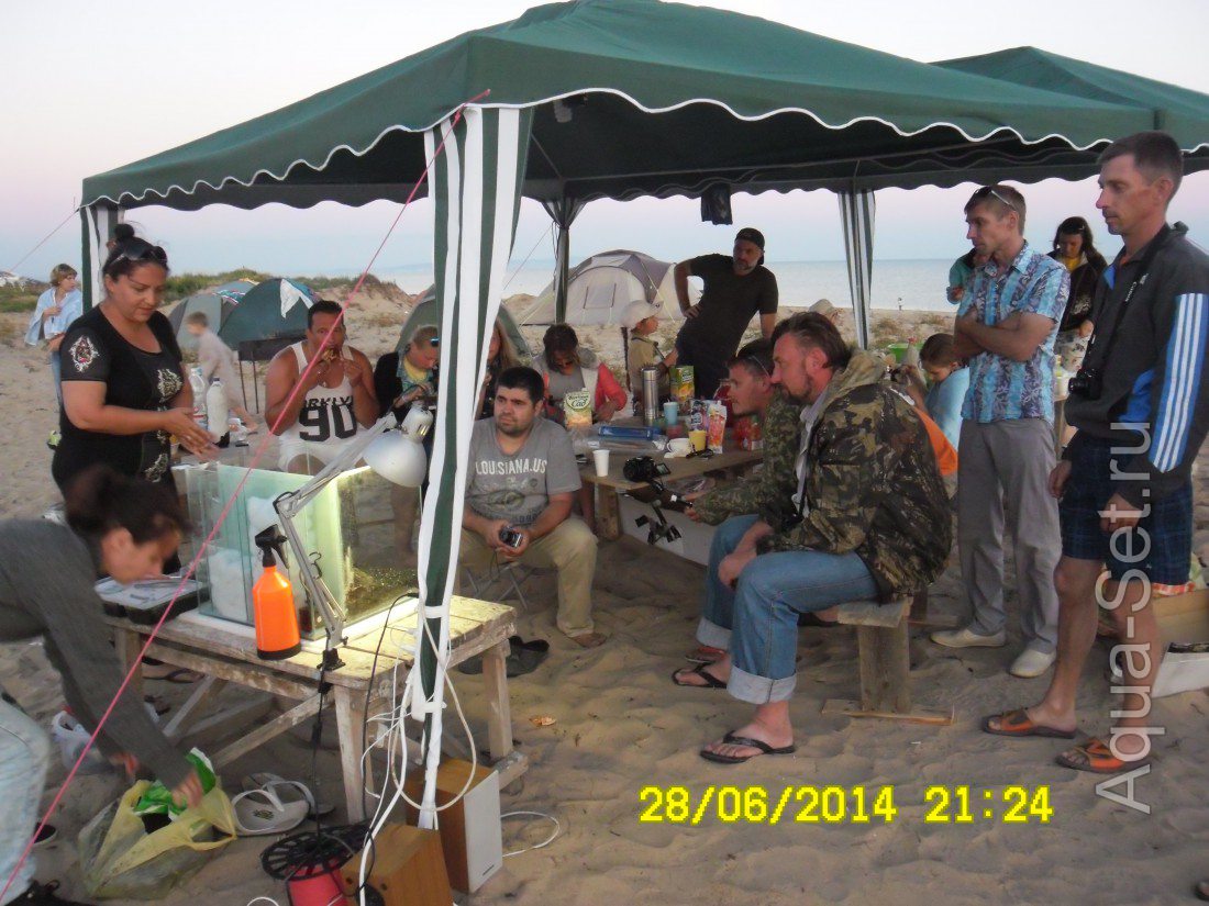 27-29 июня 2014 Слет аквариумистов около Анапы (Благовещенская)