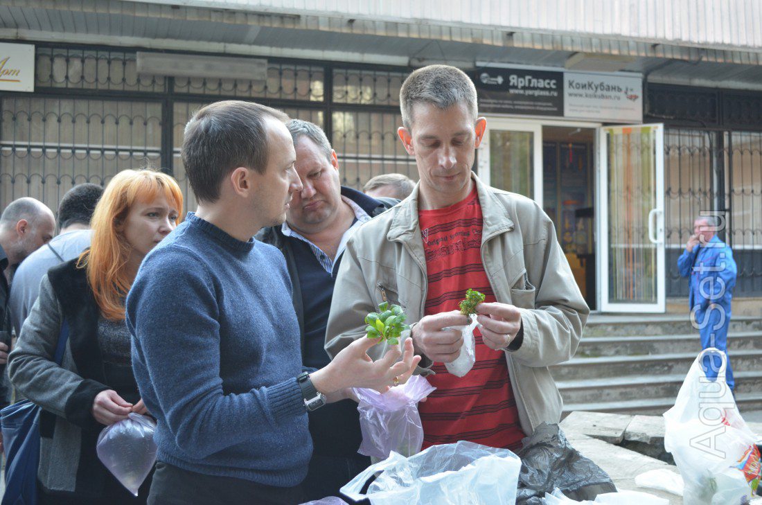 12.04.2014г. (суббота) в 18:00 встреча-обмен растениями в Краснодаре.