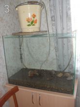 мой аквариум (dementi)