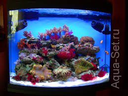 Геленджик: Продам морской аквариум Reefmax