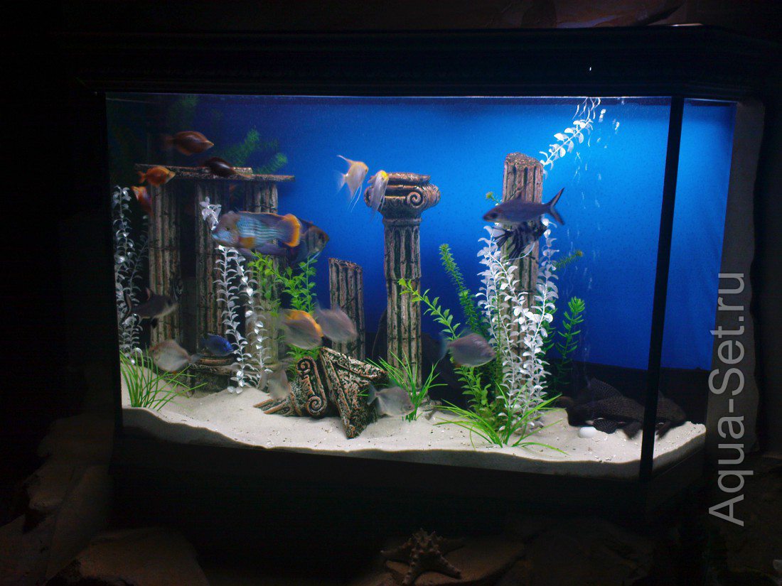 Гроты и декорации для аквариумов