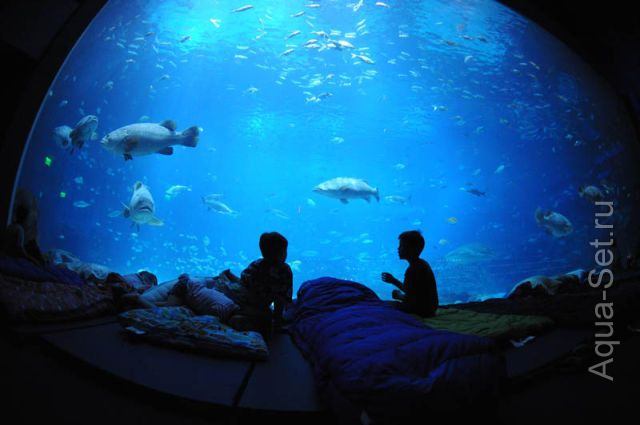 Атланта, Джорджия - Самый большой аквариум в мире