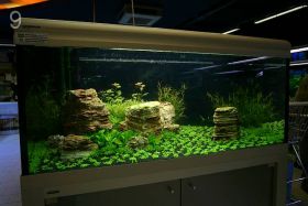 Красивый аквариум на 360л. от Оливера Кнотта