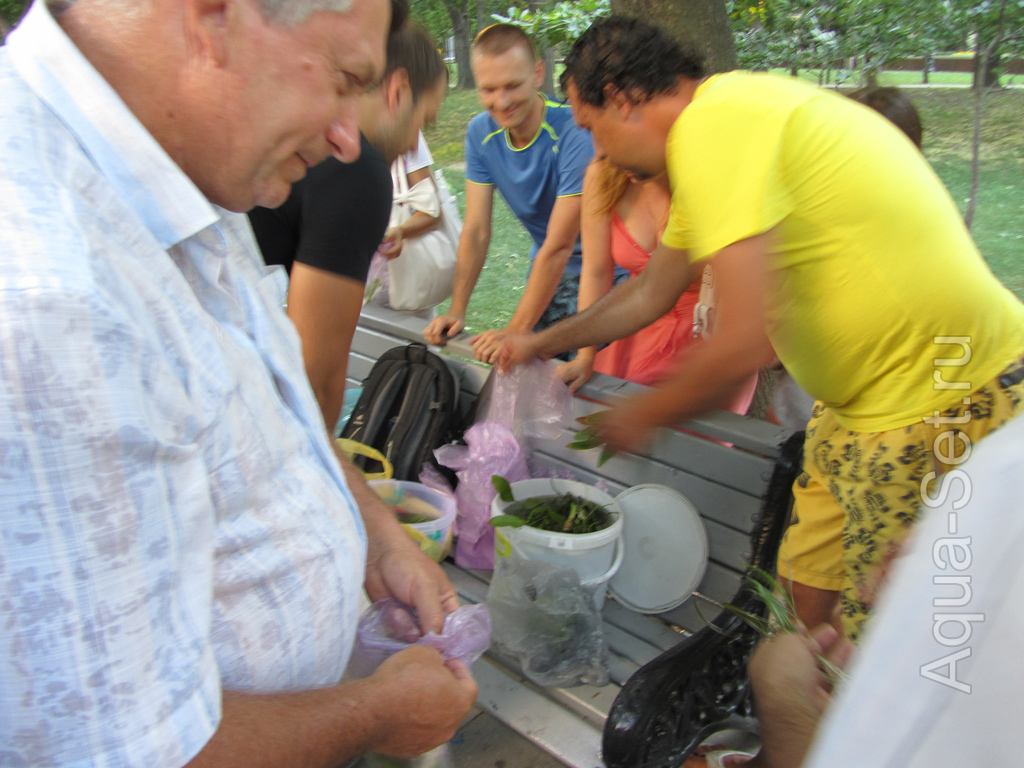 26.07.2012 (четверг) в 19:30 встреча-обмен растениями/информацией