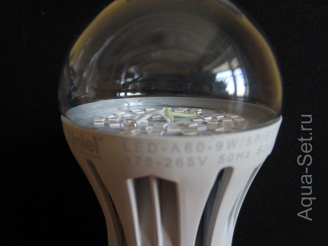 Специальная LED лампа для растений .Эксперимент .