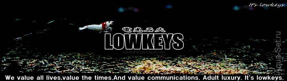 Первый коллективный заказ по Lowkeys японских товаров для креветок