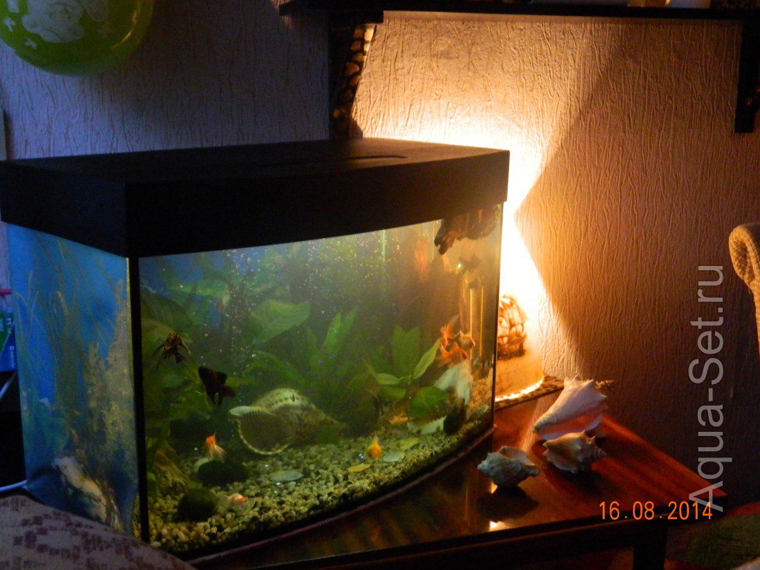 О том, как менялся мой аквариум... ;) (Марья)