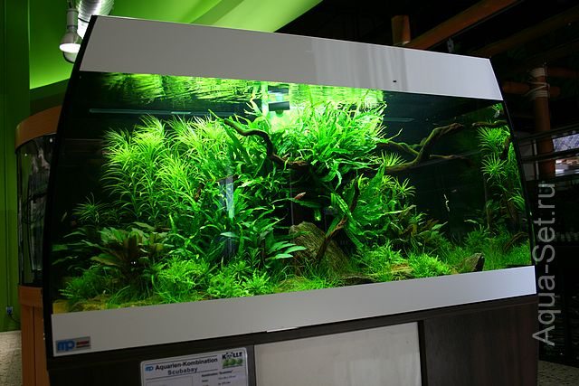 Два аквариума от Оливера Кнотта