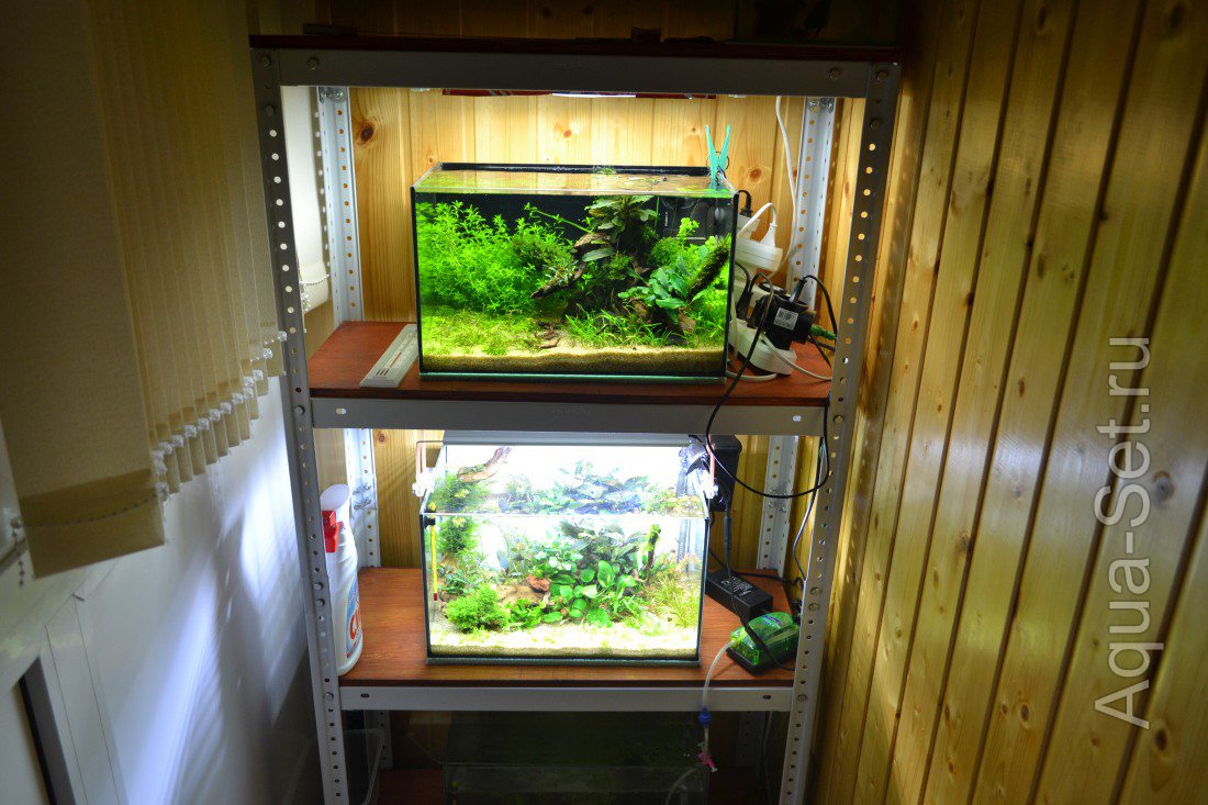Идея создать аквариумную комнату в 2,5 квадратных метрах.