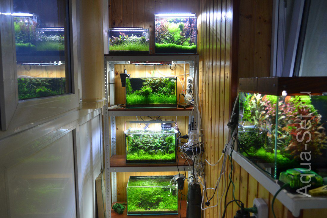 Идея создать аквариумную комнату в 2,5 квадратных метрах.