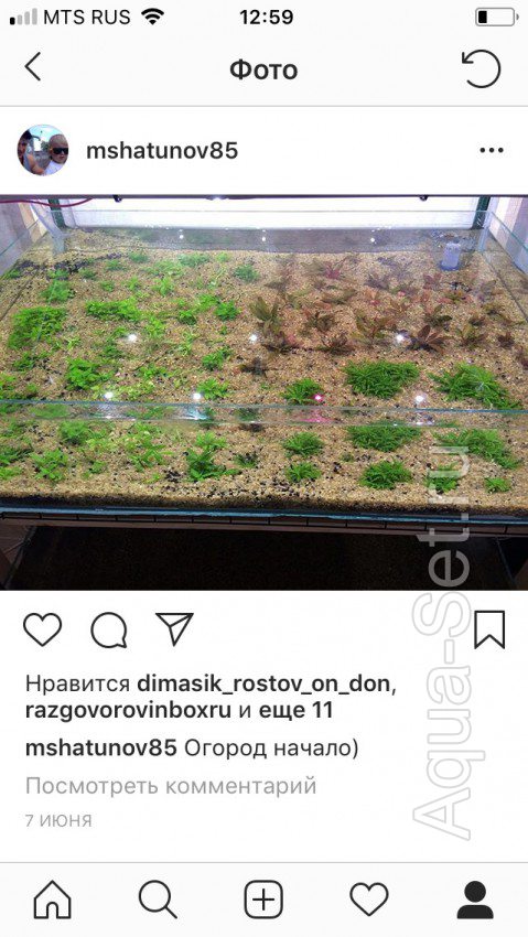 Изготовление вабикус для разных аквариумных растений