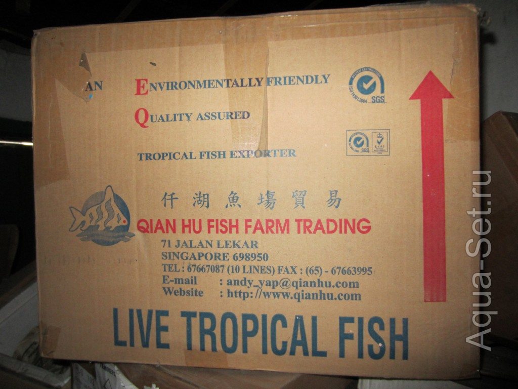 Продам пенопластовые коробки для транспортировки рыб .