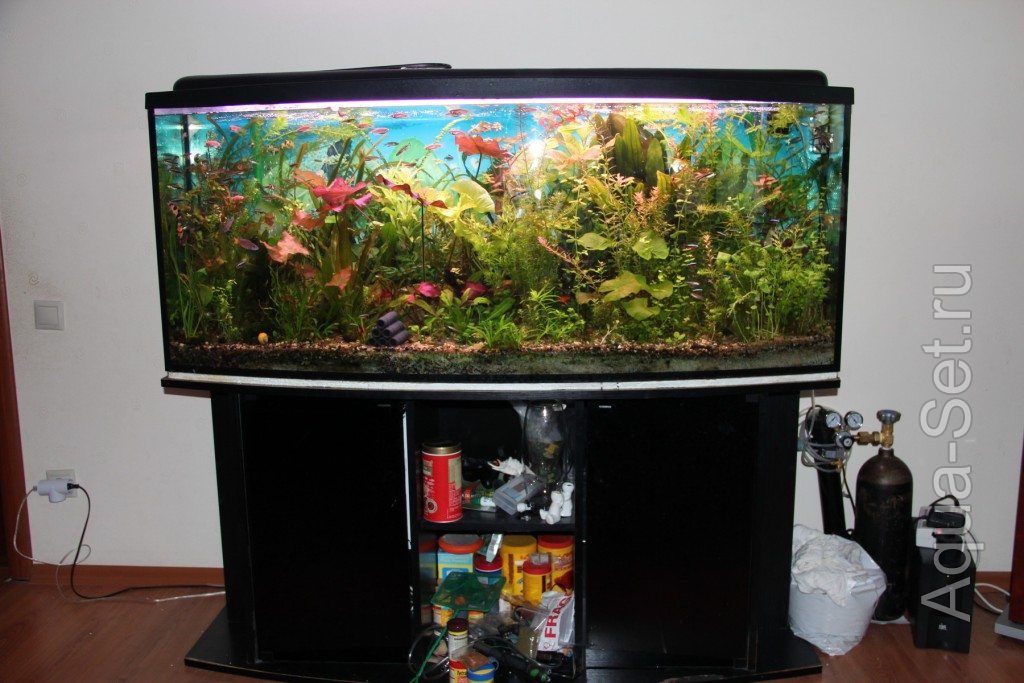 Продам аквариум с тумбой 450 литров 1500х40х60