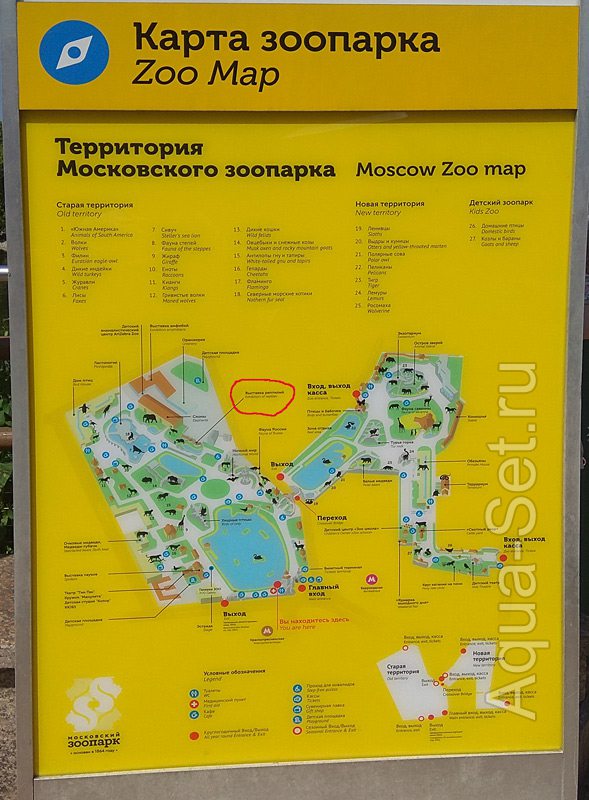 Выставка амфибий в московском зоопарке.