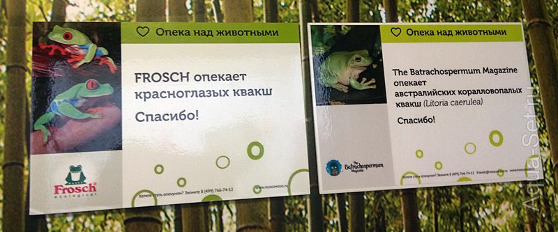 Выставка амфибий в московском зоопарке.