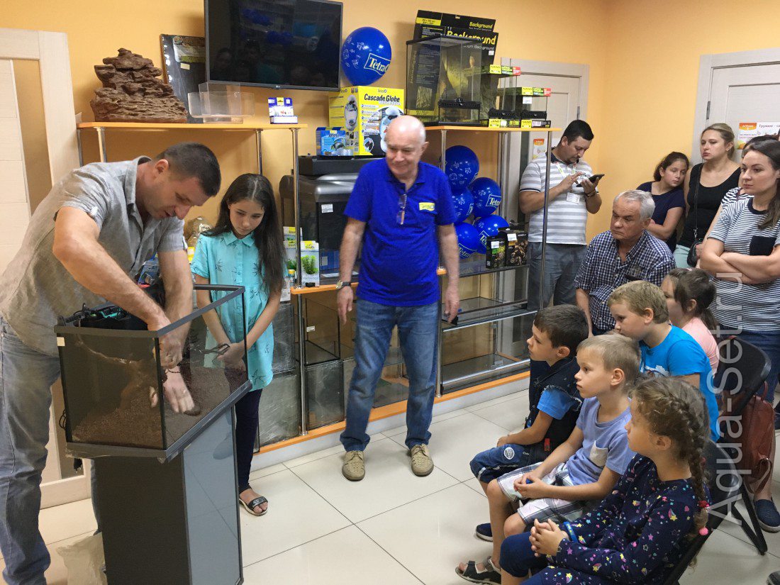Мастер-класс по оформление растительного аквариума в Ставрополе