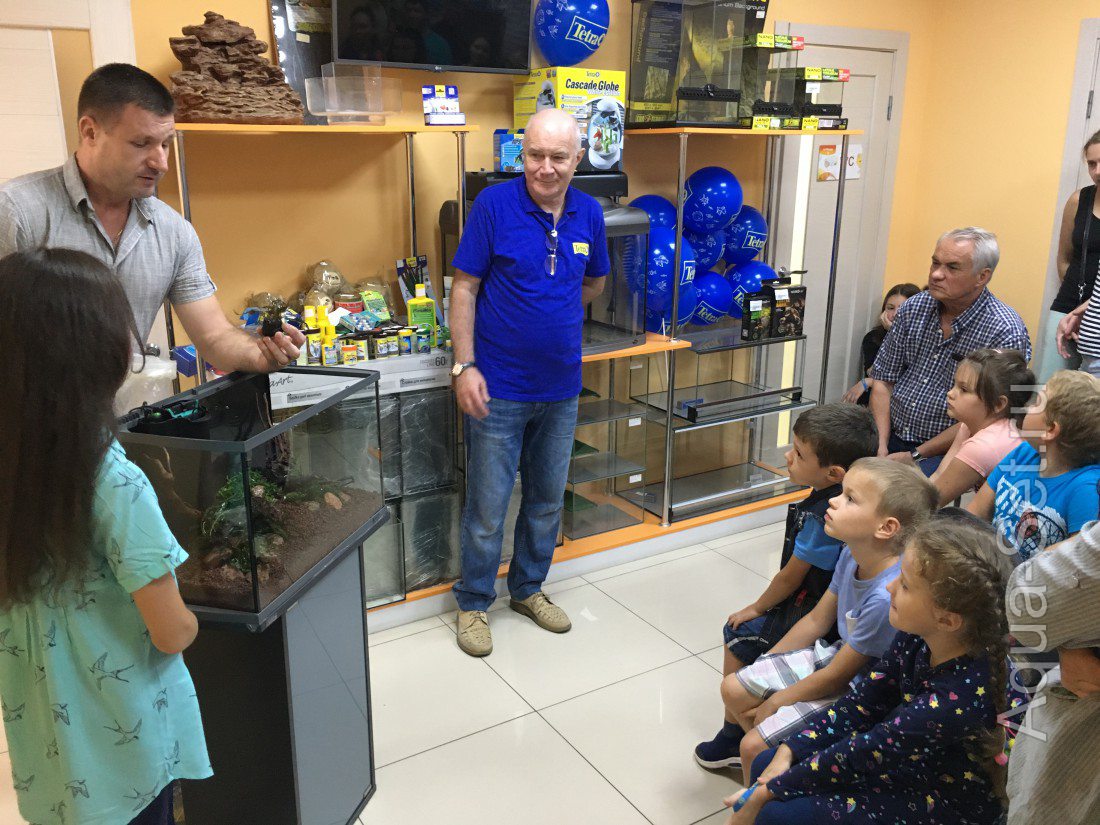 Мастер-класс по оформление растительного аквариума в Ставрополе