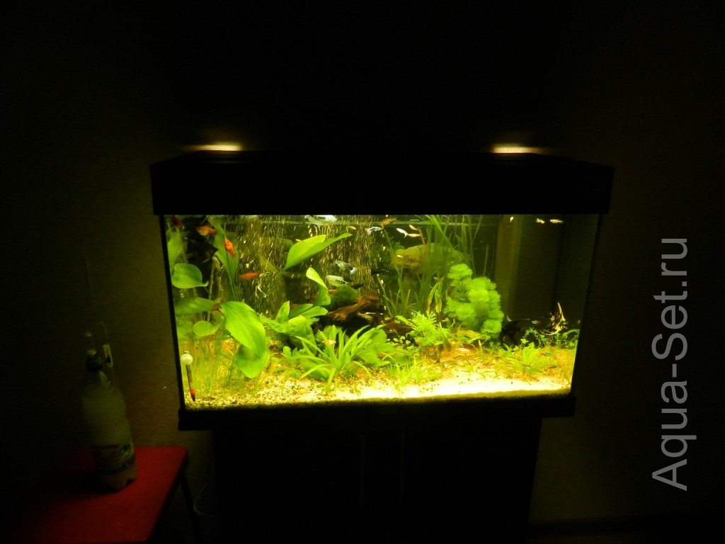 мой аквариум 125л (димасик)