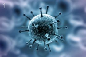 Кто создал коронавирус? Биологическое оружие сша из 2015