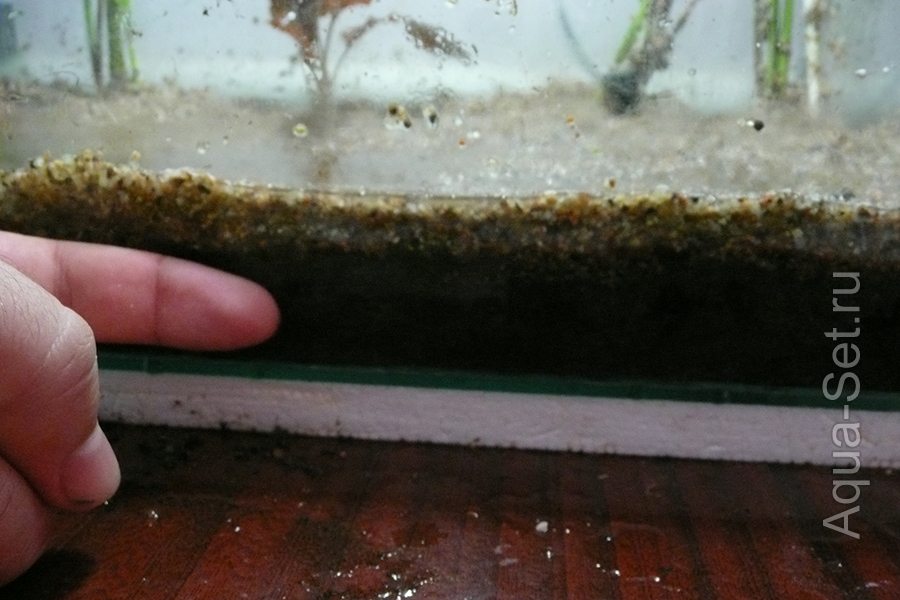 Земляной аквариум - 27 литров - Итоговый слой земли где-то 2,5см