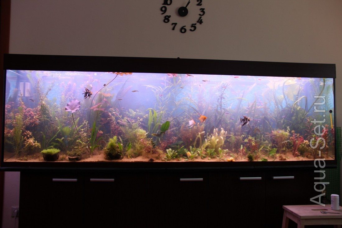 Мой аквариум 850 литров (cimes)