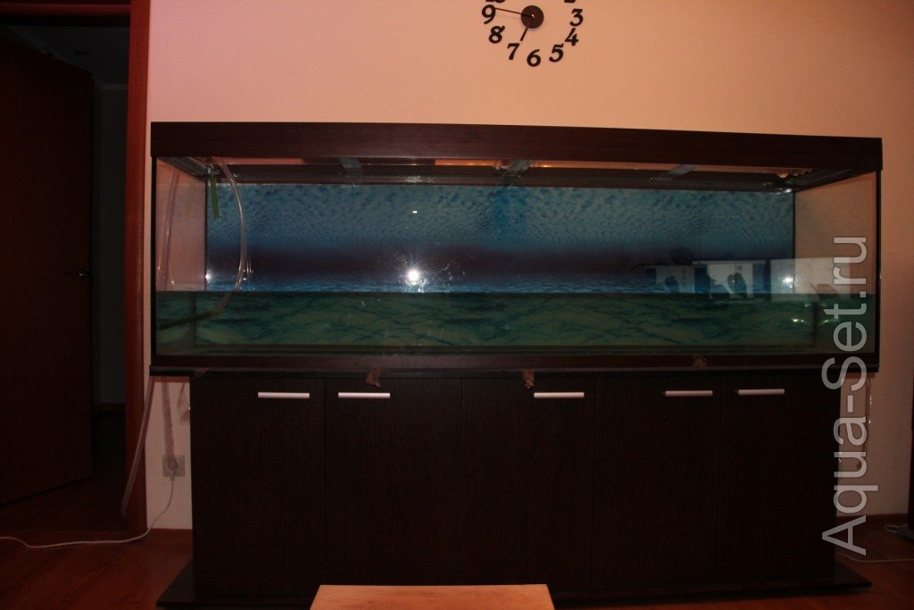 Мой аквариум 850 литров (cimes)