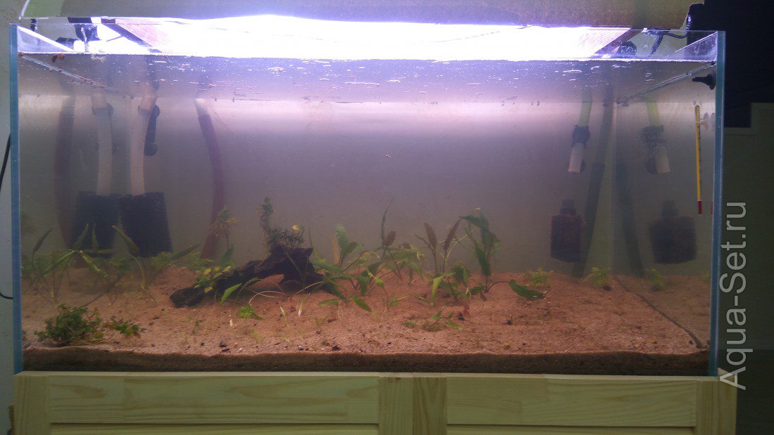 Мой аквариум (Ubrenfar)