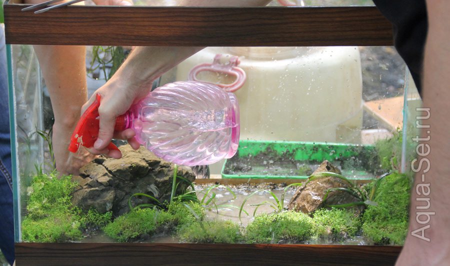 Пошаговое создание аквариума. Мастер Класс - В процессе посадки растений в аквариум без воды не забываем периодически обрызгивать их из пульверизатора.