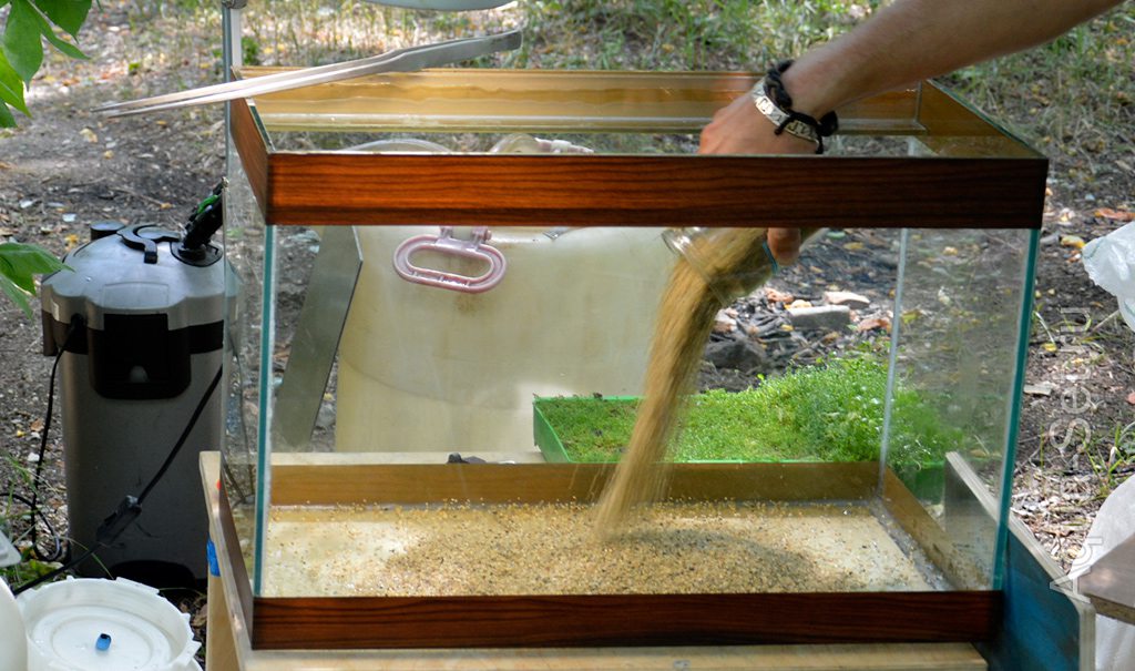 Пошаговое создание аквариума. Мастер Класс - В аквариум засыпаем немного инертного кварцевого песка.
