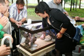 Фотоотчет по встрече аквариумистов в Краснодаре.