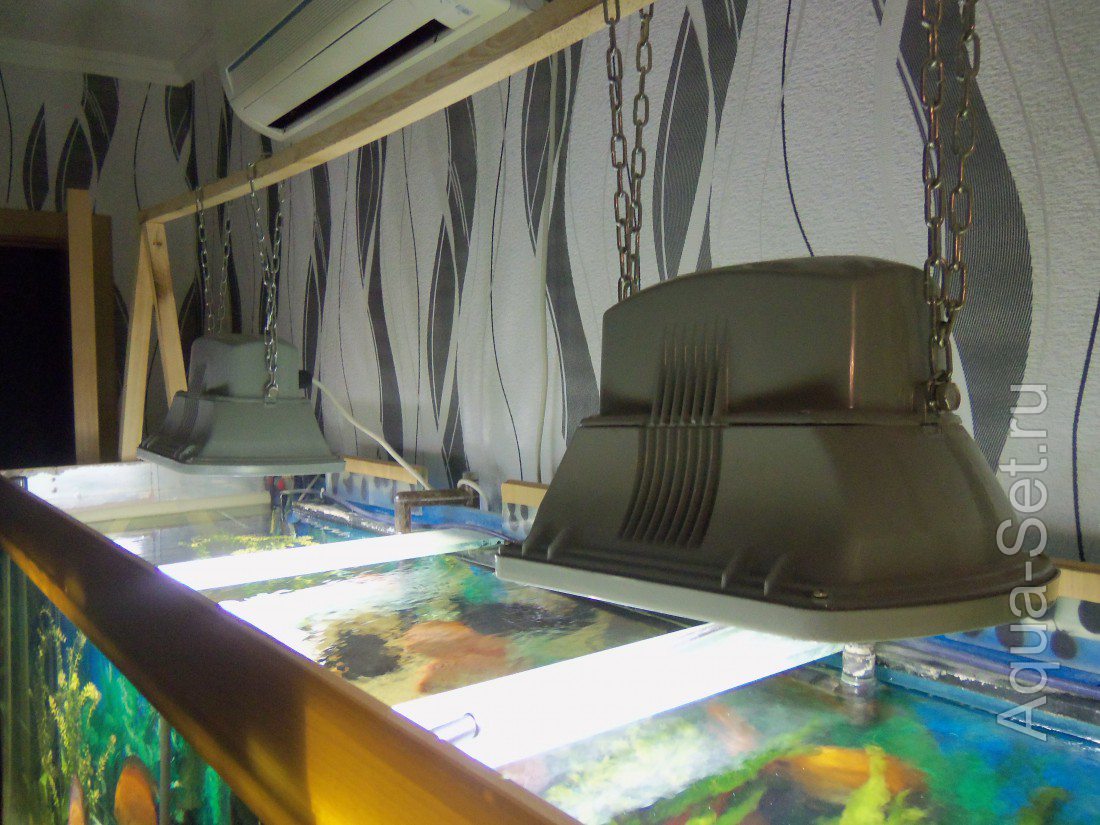 Металлогалогеновое освещение растительного аквариума