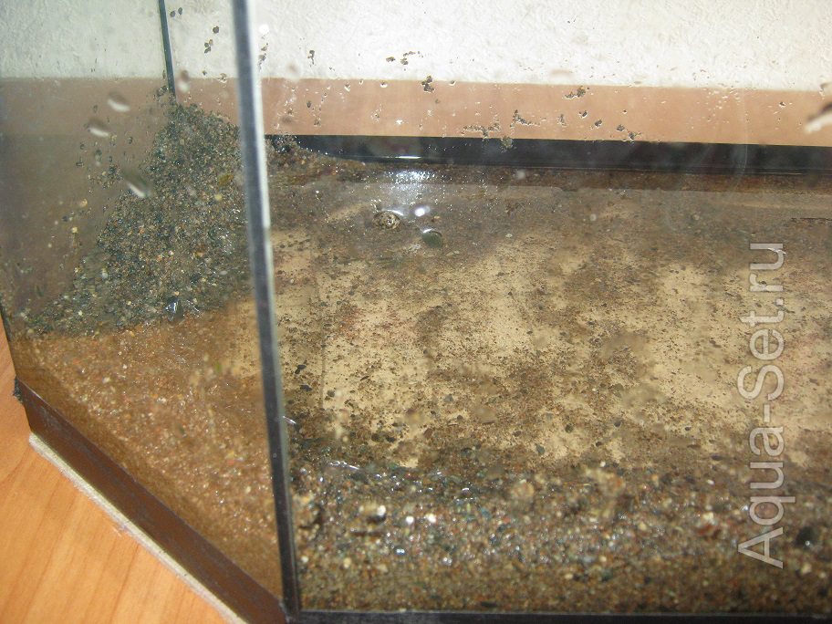 Мой аквариум на 50 литров. Опыты с землей (Natashka) - Решив, что вид слоеного пирога в грунте эстетики не придаст, по периметру засыпала немного крупного песка 2мм.