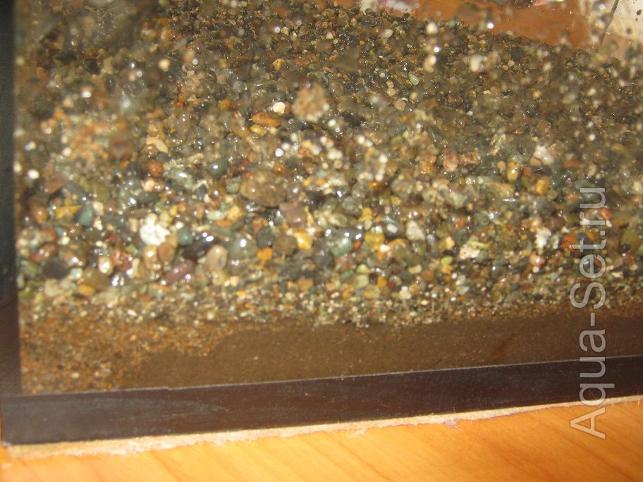 Мой аквариум на 50 литров. Опыты с землей (Natashka) - Добавила всё, что насеяла фракцией 4-5 мм. Итого получилось 6 см грунта. Вот такой 