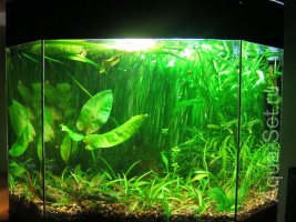 Мой аквариум на 50 литров. Опыты с землей - Абакан
