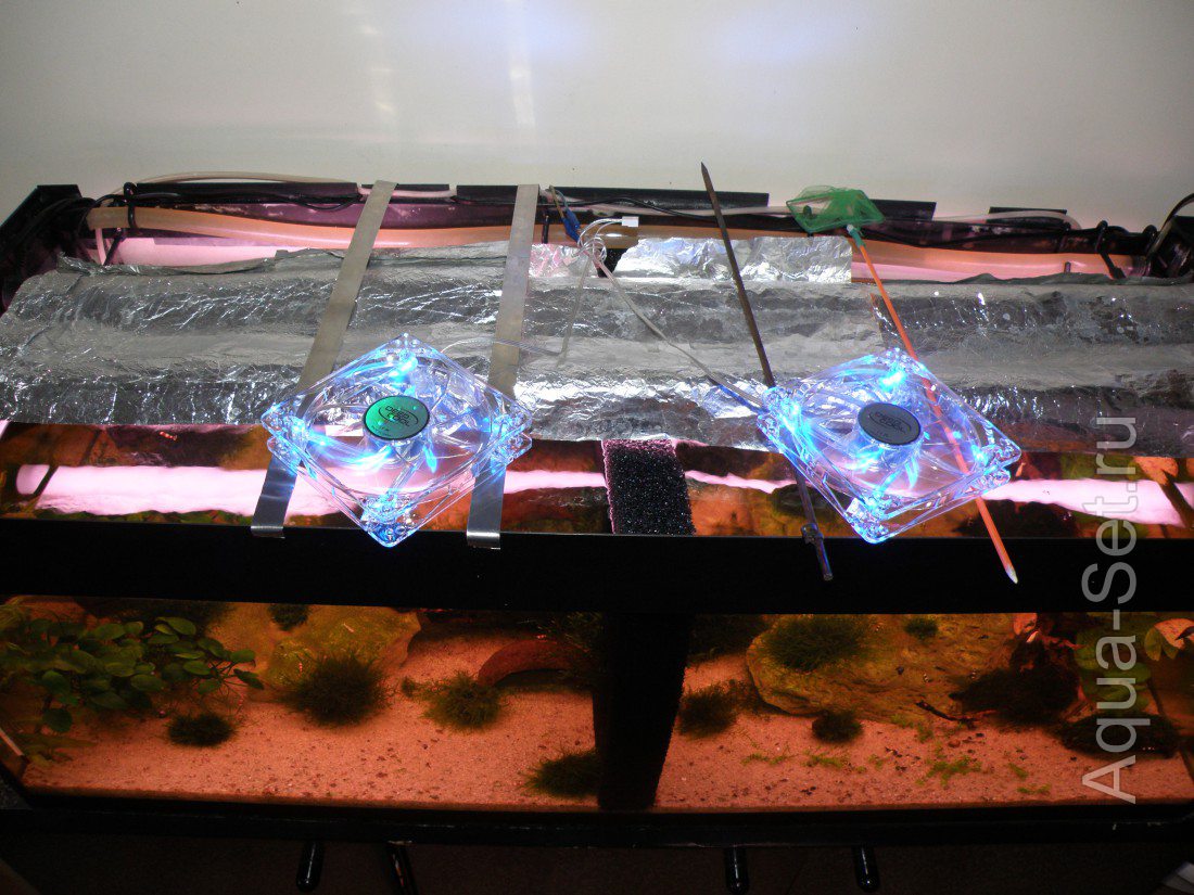 Охлаждение аквариума, с креветками