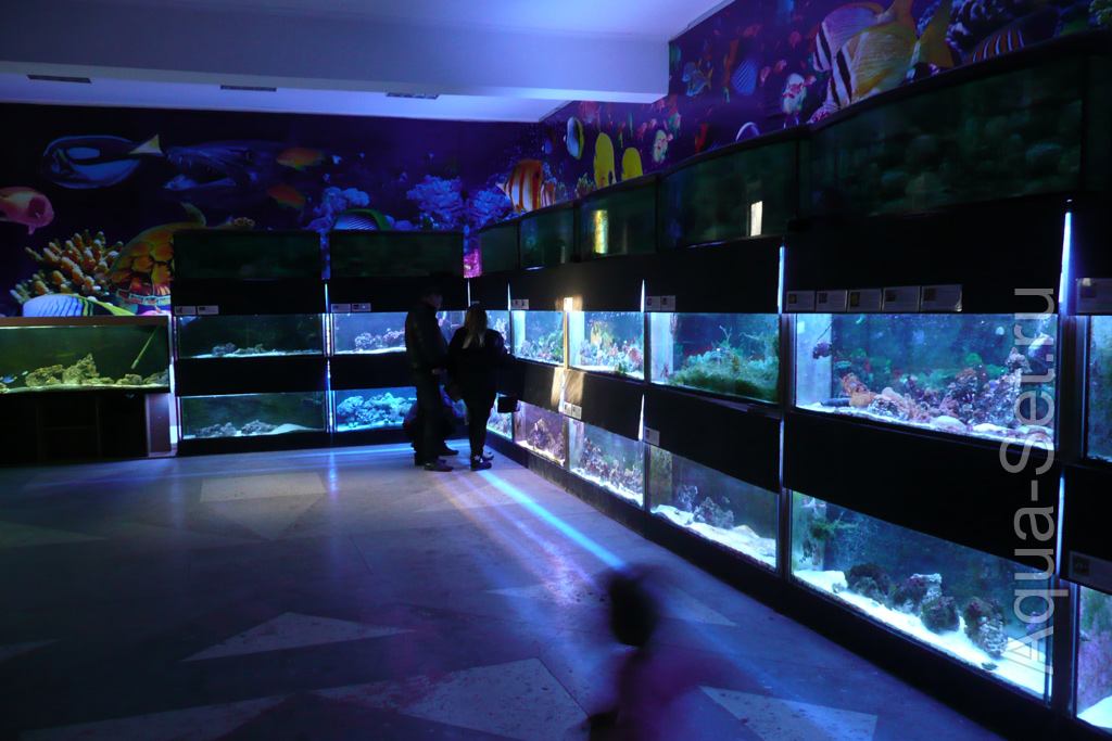 атолл аквариумы официальный сайт