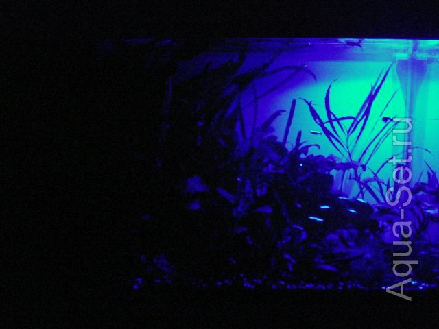 LED - светильник для травника 240 литров