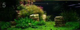 Красивый аквариум на 360л. от Оливера Кнотта