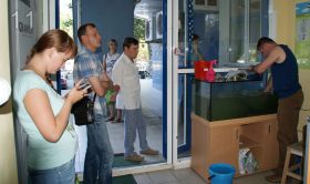 Фотоотчёт оформления аквариума в «23 хвоста» г. Краснодар.