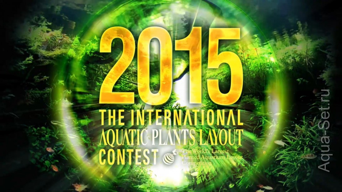 IAPLC 2015. Результаты конкурса аквариумного дизайна. - The International Aquatic Plants Layout Contest 2015