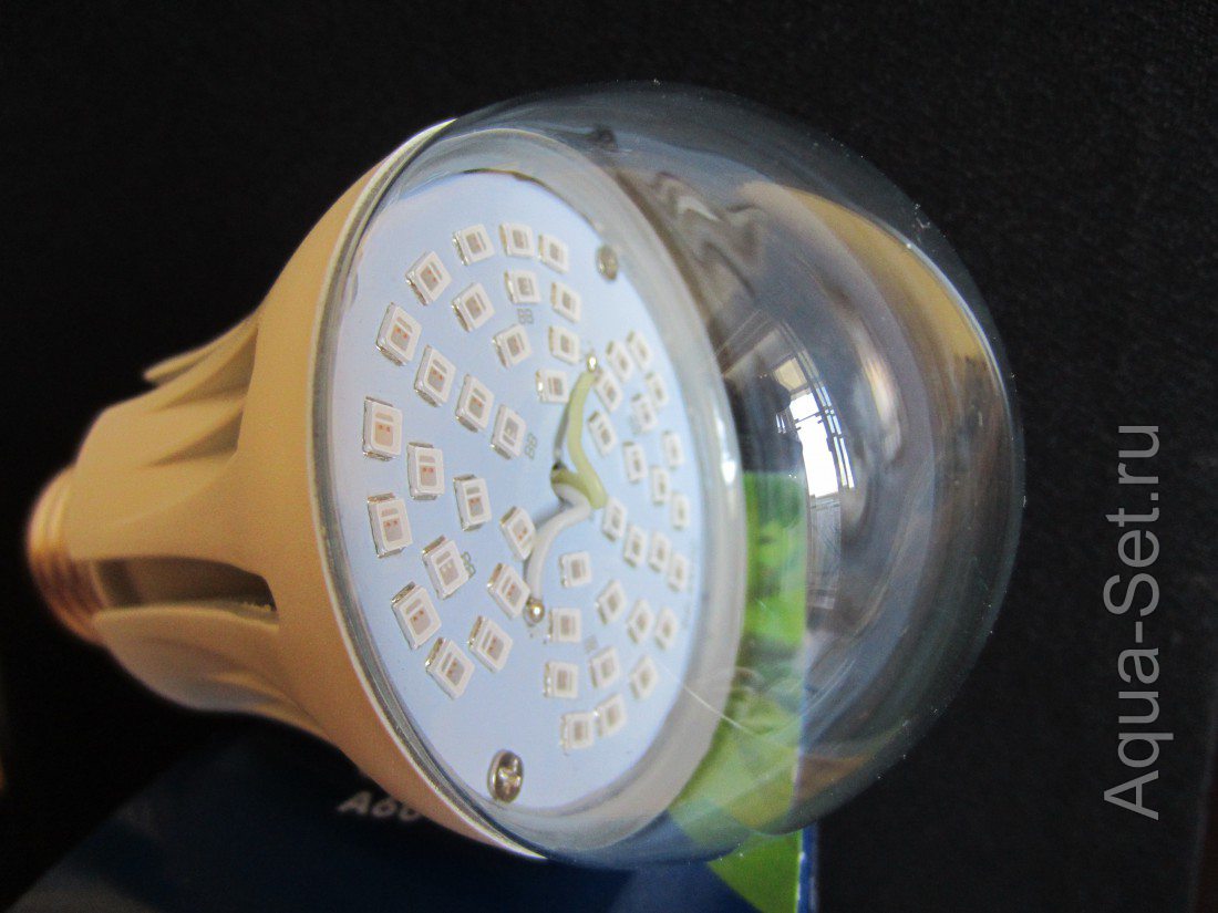 Специальная LED лампа для растений .Эксперимент .
