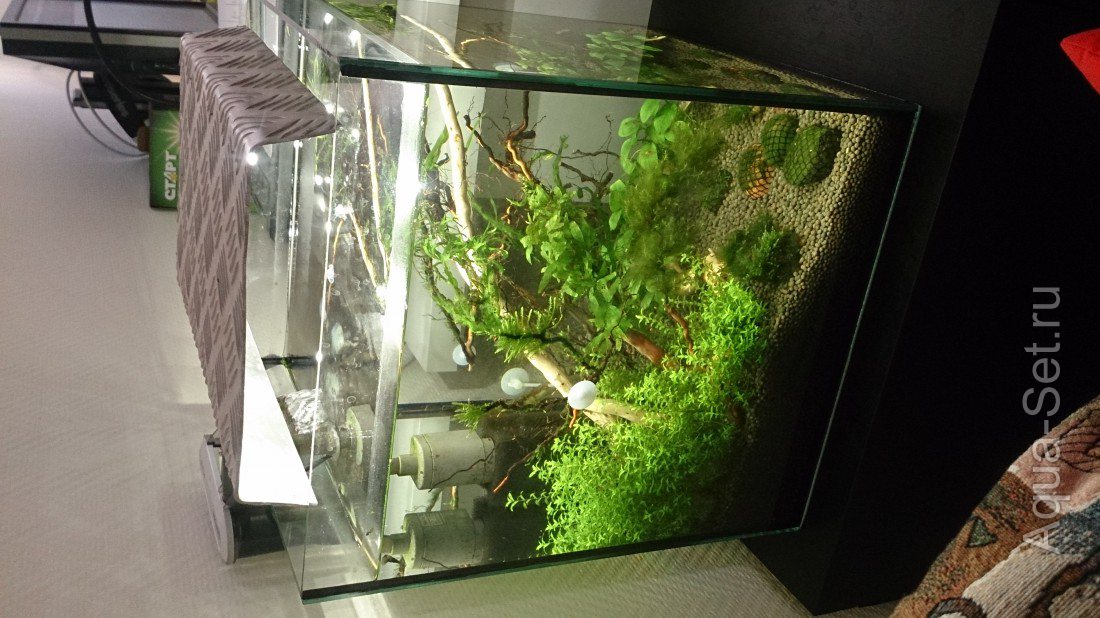 Медленный аквариум 35 л. (singrana)