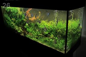 Земляной аквариум - 240 литров