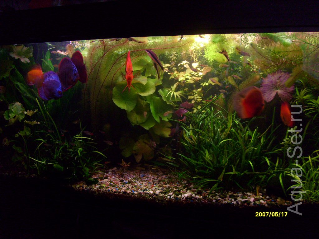 Мой аквариум (krpn)