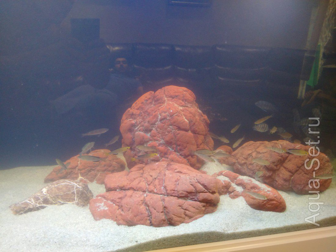 Мой новый аквариум 1100 литров с Танганьикой.