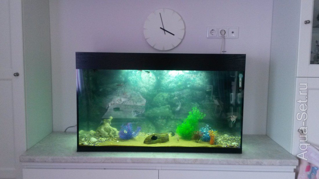 Мои аквариум 200 литров (sadphoto)
